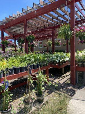 Southbranch Nursery