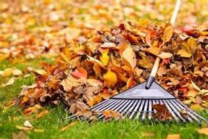 Don't break your back raking leaves! Let Foxdale take care of them for you. Free, no obligation quotes.