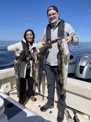 Lingcod, Deep Sea, Charters