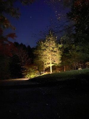 Replaced existing/damaged landscape lighting, as well as suggested an additional well light to illuminate an evergreen in the front yard.