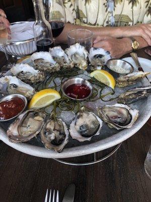 Baywater and pacific oysters