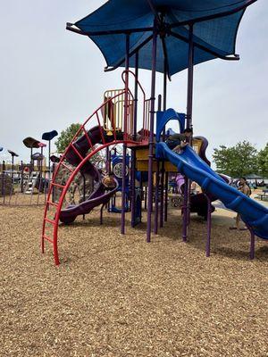 The kids and their cousins wanted to change it up and come to the park today. The beach is open but they didn't want to swim.