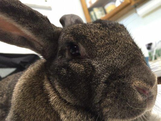 Bunzi and I patiently waiting for the vet :)