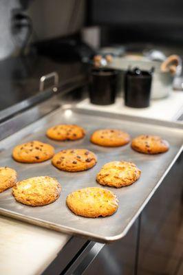 Freshly baked cookies! Yum!