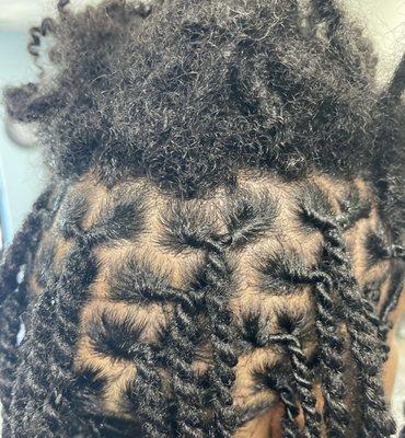 Loc retwist & style