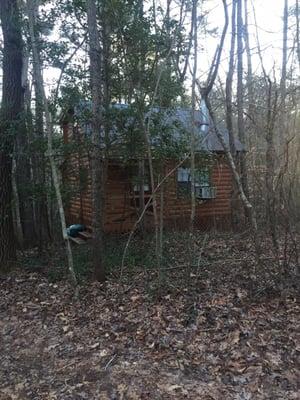 Pondside Cabin through the woods.