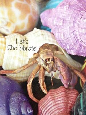 Let's Shellabrate!