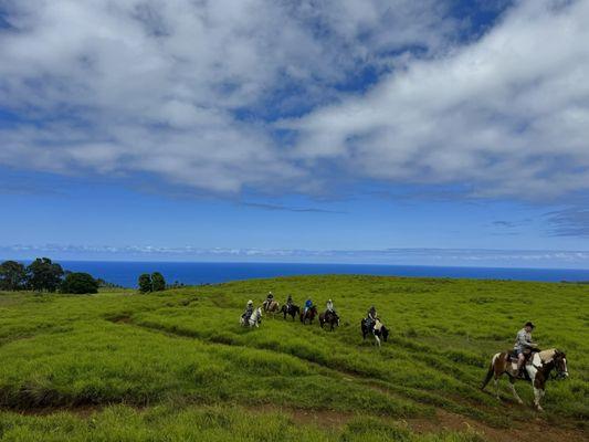 Views from the top of the hill.