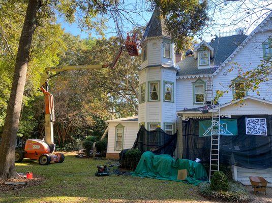 Specialty Roof replacement - dome dormers