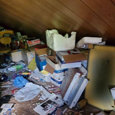 Scary junky attic that had been sitting for 7 years