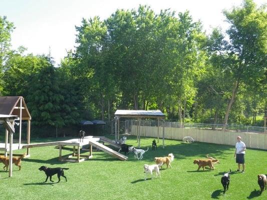 One of several turfed play yards with some of our doggie play equipment for stimulating  and fun play!