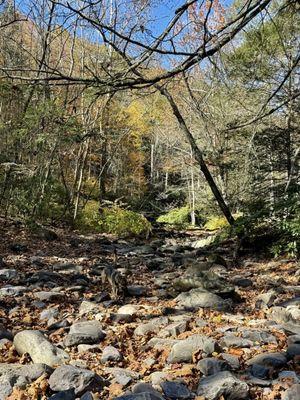 Rail Gap Pocono Creek Nature Preserve