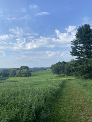 Park walk