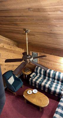 Un-dusted ceiling fan. There were products in the home that were available to use