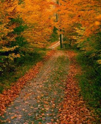 What a beautiful bike trail in the Lehigh Gorge State Park!