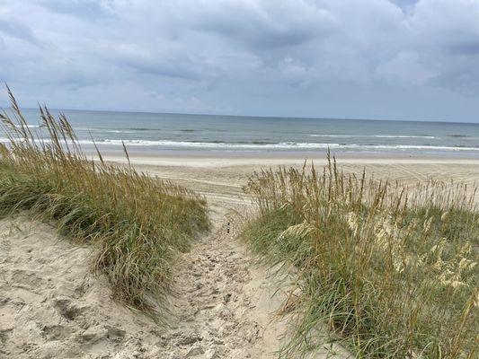 Beautiful wild beach