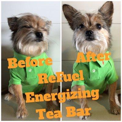 Refuel Energizing Tea Bar