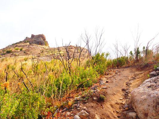 Views from/of the trail! Can be steep, narrow and rocky!