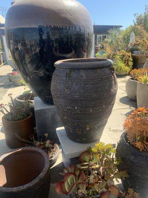 gorgeous large pots on display