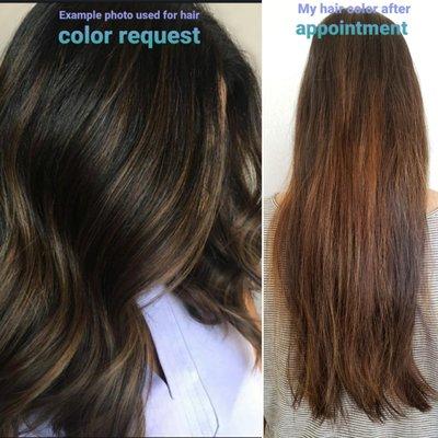 My hair is naturally dark brown. I requested slight color lift to break up the darkness. I used the left example photo during my appointment