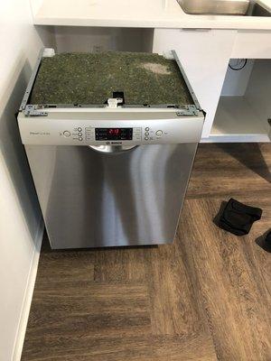 Solo appliance repair