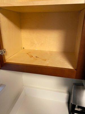 Cabinet stain