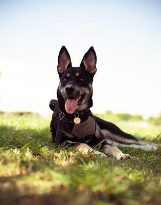 Samantha Enjoying The Shade