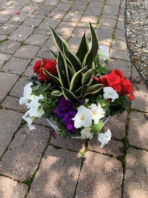 Table top flower arrangement with snake plat as it's focal piece.