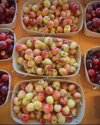 Cherry season from May - August