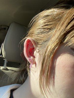 brand new conch and rook