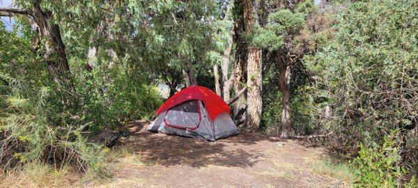 Shady Camp Spot