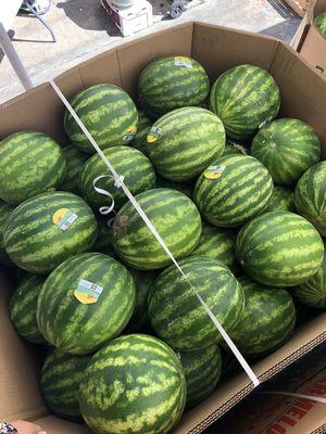 Case of fresh watermelons