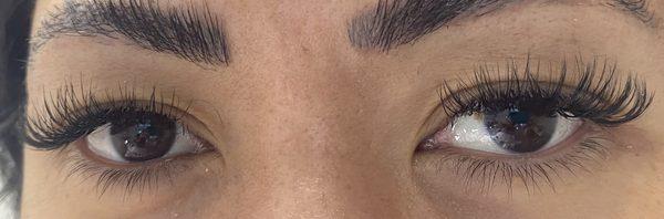 brow lamination/ hybrid extensions