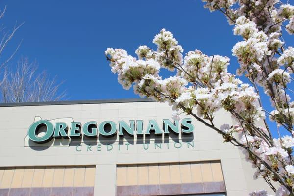 St. Johns Branch on a Spring Day