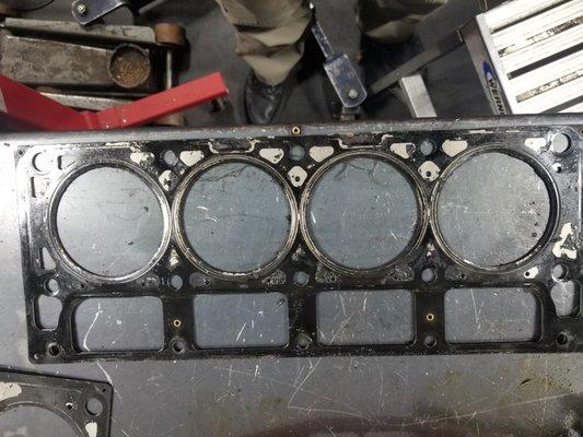 No Name Head Gasket Failed