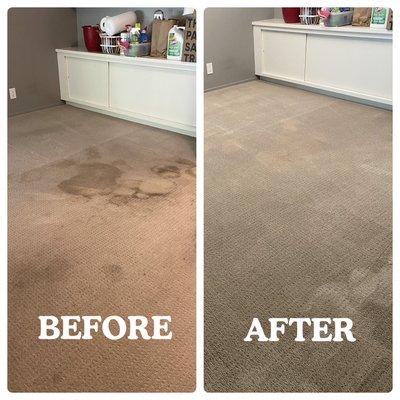 Ernie's Carpet and Upholstery Cleaners