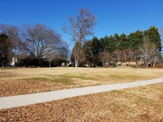 Open grassy area