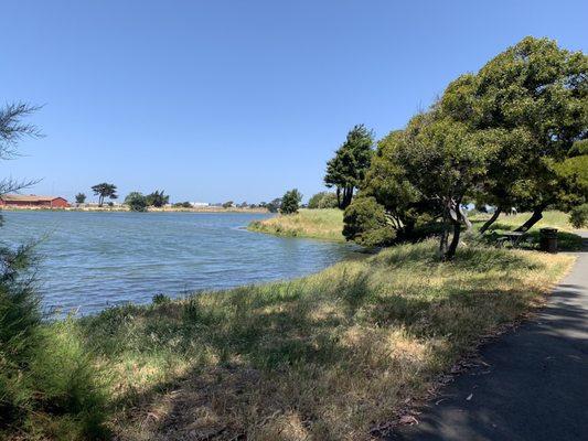 Trail greenery and lagoon