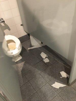 Women bathroom stall and floor