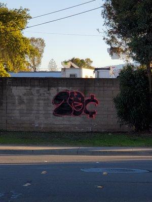 I love that there's so much graffiti on this PG&E!  So artistic.