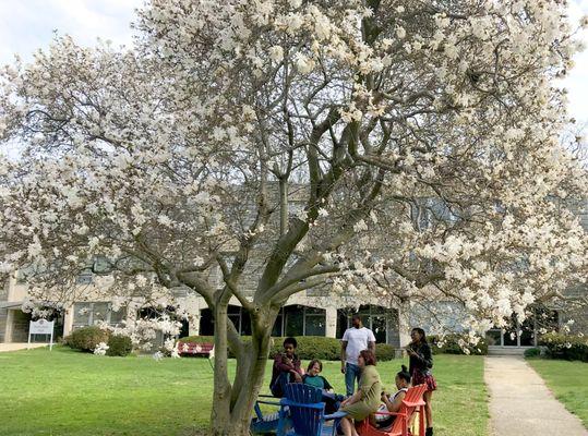 Students outside Heffernan Hall.