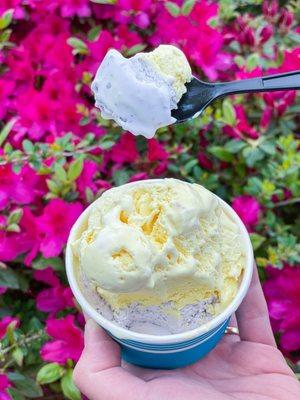 Blueberry cheesecake and lemon custard from The Ice Cream Cone at South Carolina was tasty!