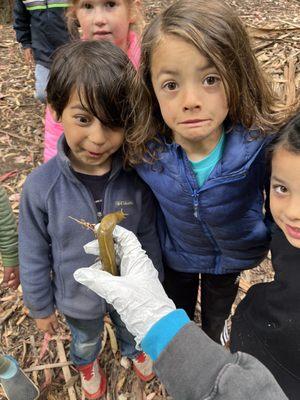 Campers view a slug during a talk with a Tilden Park naturalist