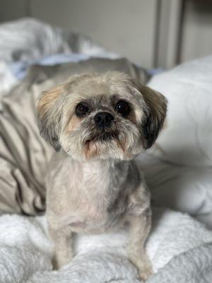 Posing with his fresh fade