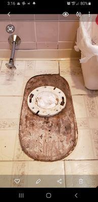 Toilet repair finished part3