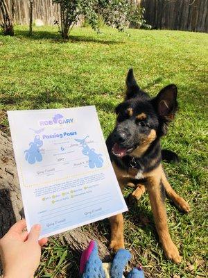 Goku trying to eat his certificate because if there's no proof, he doesn't have to obey !