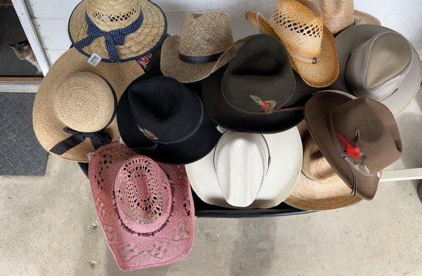 Check out our selection of hats!