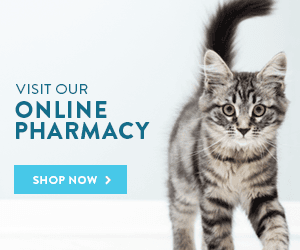 We have a online pharmacy