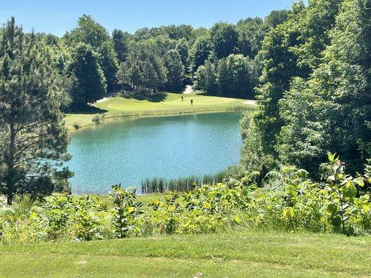 Black tee box on the signature #4 hole.