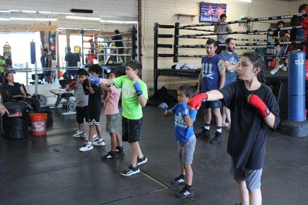 Flash Enterprises Boxing Academy